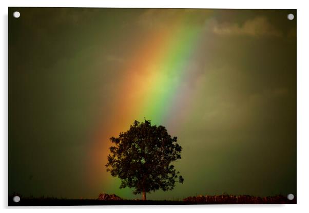 Rainbow tree Acrylic by Simon Johnson