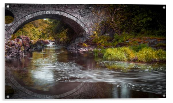 Cenarth bridge reflection Acrylic by Leighton Collins