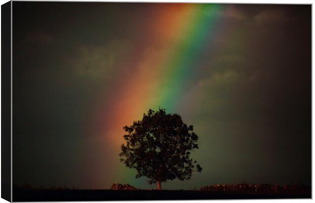 storm Light and rainbow Canvas Print by Simon Johnson