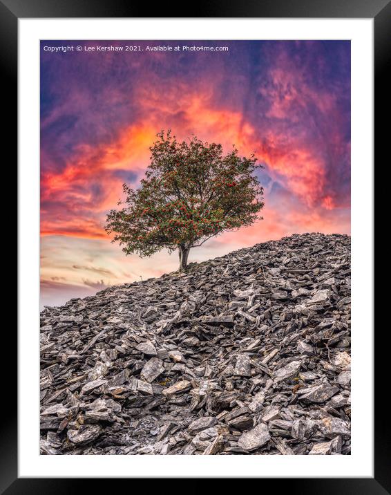 Banishead Quarry - Tree on a Stone Heap Framed Mounted Print by Lee Kershaw