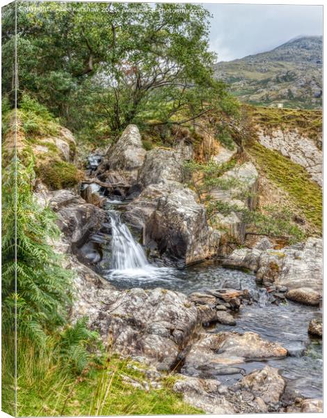Mountain Stream in the Lake District Canvas Print by Lee Kershaw