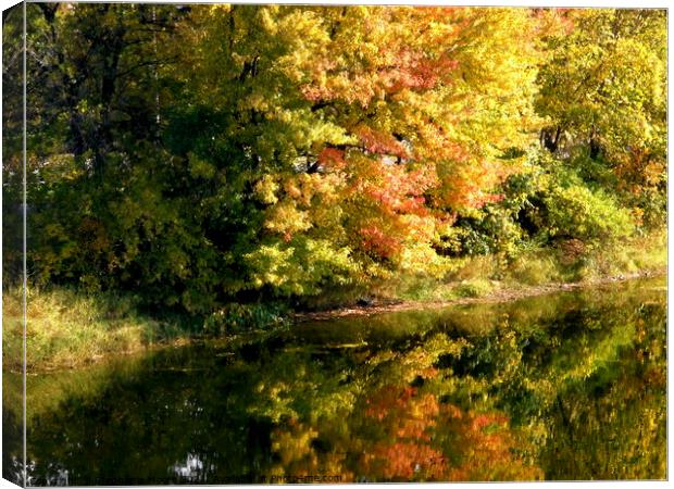 Fall Reflections Canvas Print by Stephanie Moore