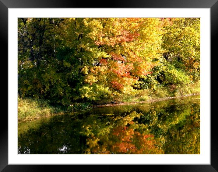 Fall Reflections Framed Mounted Print by Stephanie Moore