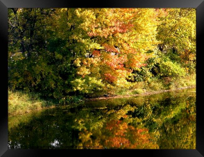 Fall Reflections Framed Print by Stephanie Moore