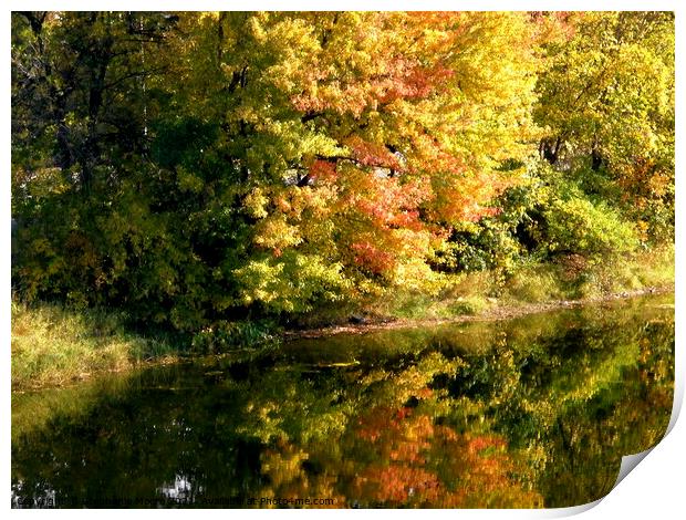 Fall Reflections Print by Stephanie Moore