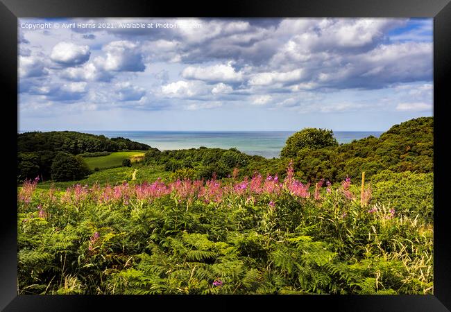 Tranquil Escape Coastal Path at Cromer Framed Print by Avril Harris