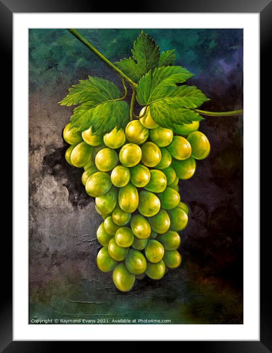 Green grapes Framed Mounted Print by Raymond Evans