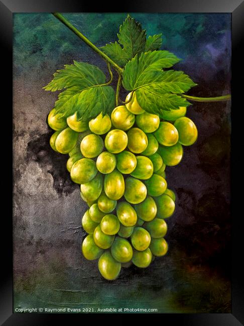 Green grapes Framed Print by Raymond Evans