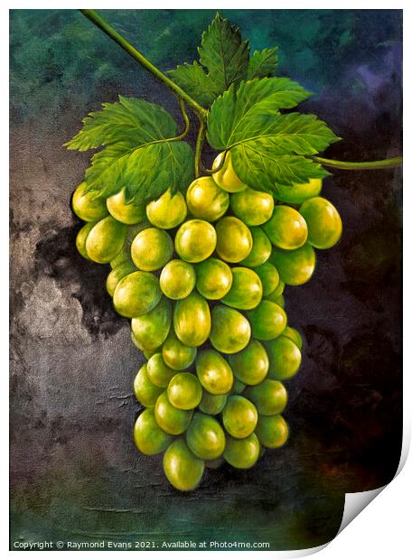 Green grapes Print by Raymond Evans