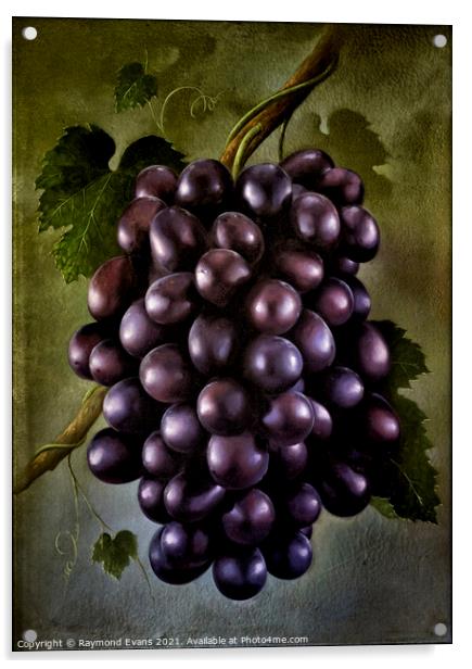 Black grapes Acrylic by Raymond Evans