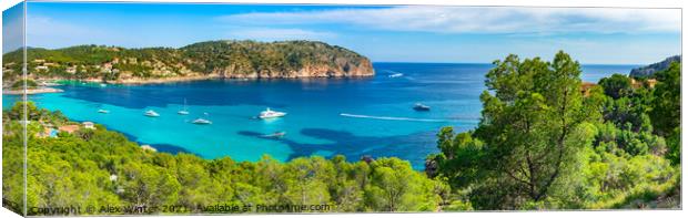 Panorama view of Camp de Mar Canvas Print by Alex Winter