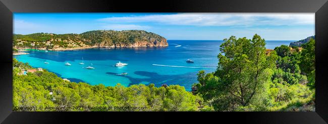 Panorama view of Camp de Mar Framed Print by Alex Winter
