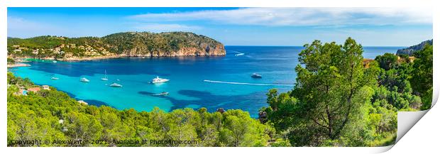 Panorama view of Camp de Mar Print by Alex Winter