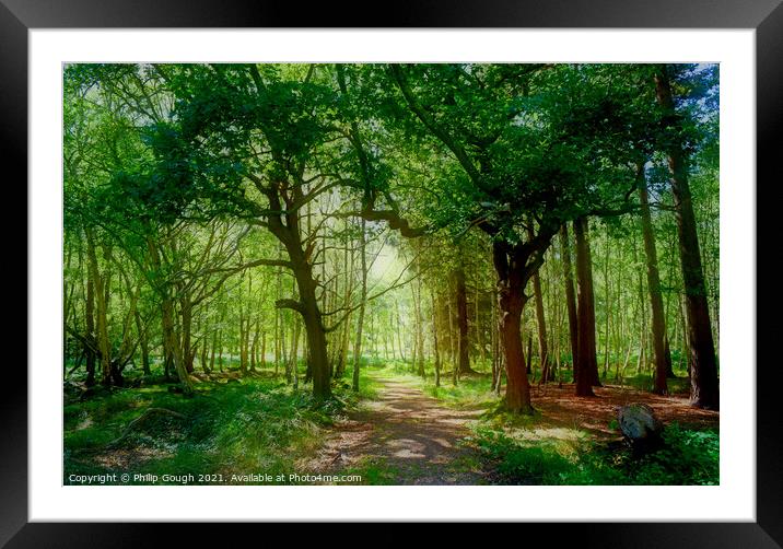 MYSTERY WOOD Framed Mounted Print by Philip Gough
