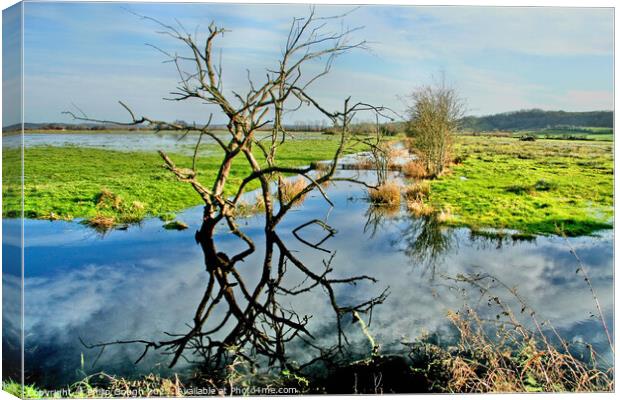 The Somerset Levels Floods Canvas Print by Philip Gough