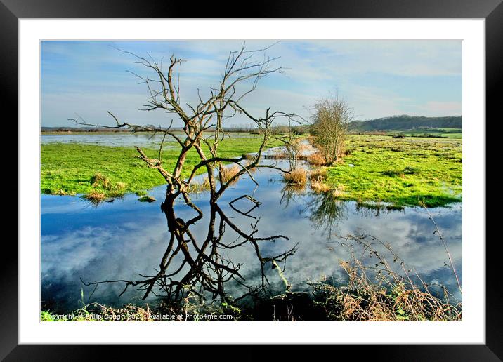 The Somerset Levels Floods Framed Mounted Print by Philip Gough