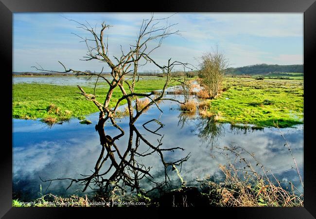 The Somerset Levels Floods Framed Print by Philip Gough