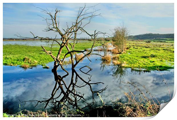 The Somerset Levels Floods Print by Philip Gough