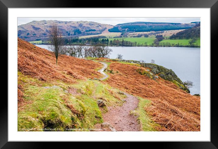 Path Around Ullswater Lake District Framed Mounted Print by Pearl Bucknall
