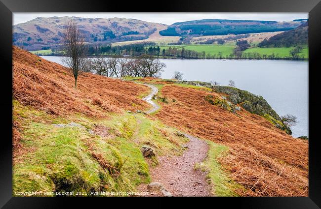 Path Around Ullswater Lake District Framed Print by Pearl Bucknall
