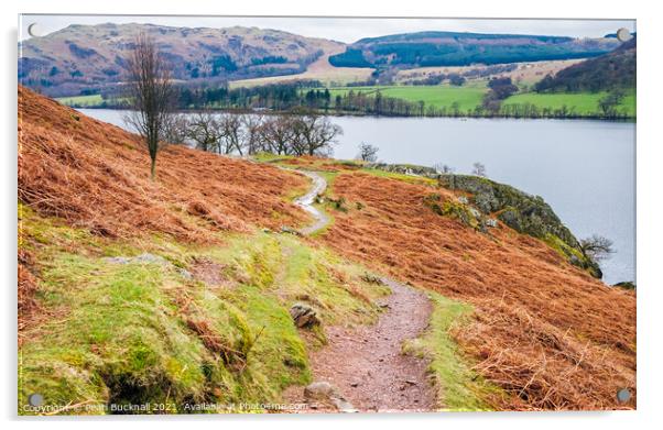 Path Around Ullswater Lake District Acrylic by Pearl Bucknall