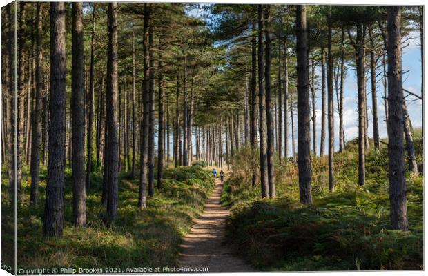 Newborough Forest Canvas Print by Philip Brookes