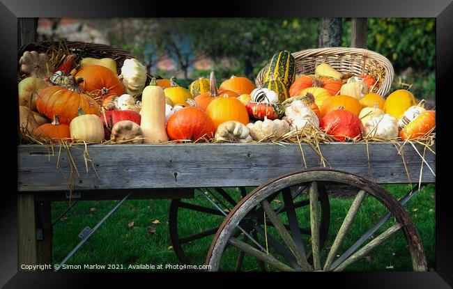 Autumn Squashes and Pumpkins Framed Print by Simon Marlow