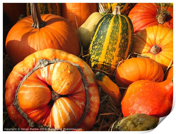 Autumn Squashes and Pumpkins Print by Simon Marlow
