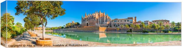 Cathedral La Seu at the city center of Palma Canvas Print by Alex Winter