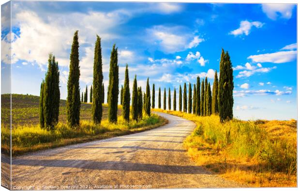 Cypress trees and rural road, Tuscany Canvas Print by Stefano Orazzini