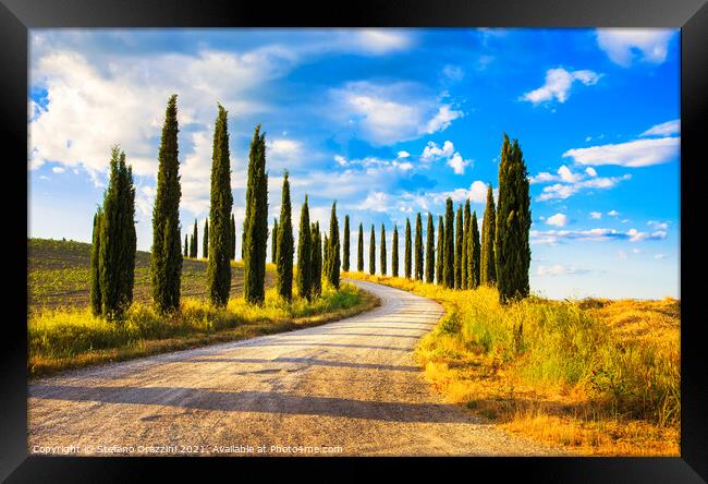 Cypress trees and rural road, Tuscany Framed Print by Stefano Orazzini