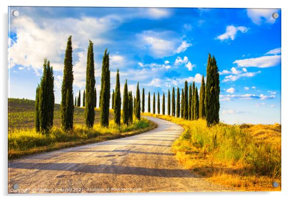 Cypress trees and rural road, Tuscany Acrylic by Stefano Orazzini