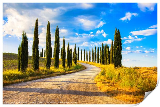 Cypress trees and rural road, Tuscany Print by Stefano Orazzini