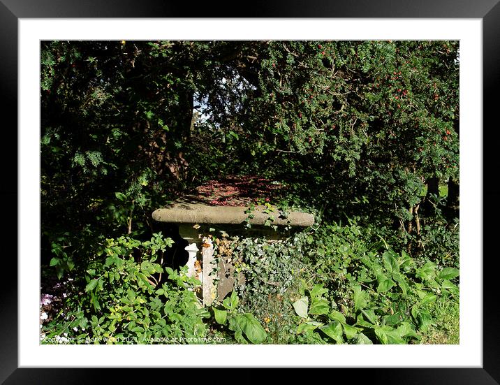 Grave to Growth Framed Mounted Print by Mark Ward