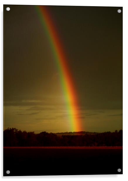Over the rainbow Acrylic by Simon Johnson