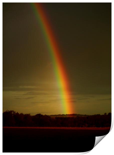 Over the rainbow Print by Simon Johnson