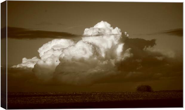 cumulous cloud Canvas Print by Simon Johnson