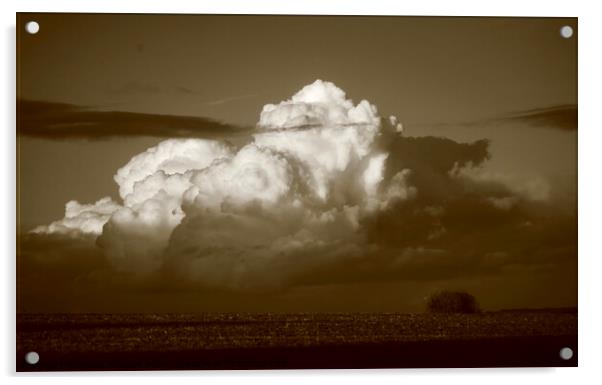 cumulous cloud Acrylic by Simon Johnson
