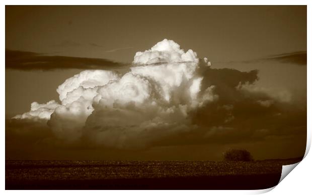cumulous cloud Print by Simon Johnson