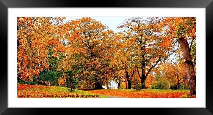 Autumn Trees Preston Framed Mounted Print by Michele Davis