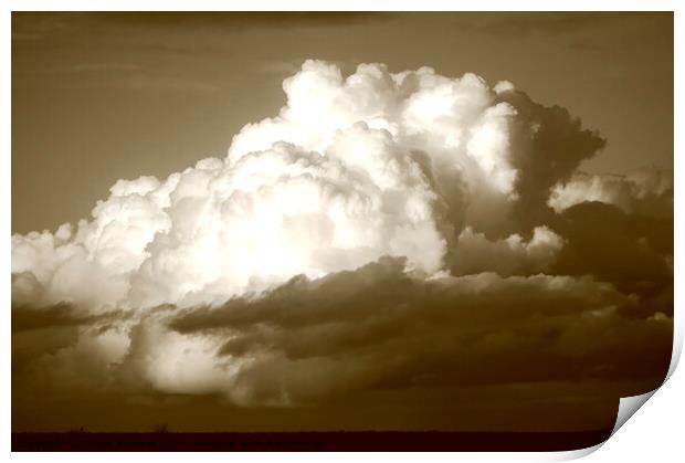 sunlit cumulous cloud Print by Simon Johnson