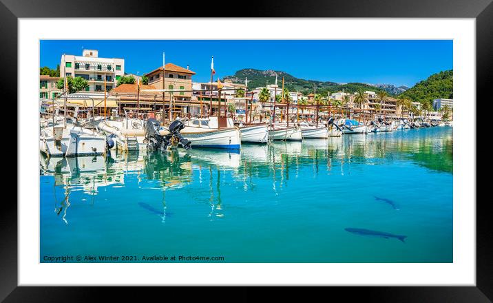 Port de Soller with fishing boats Framed Mounted Print by Alex Winter