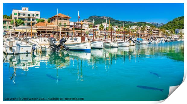 Port de Soller with fishing boats Print by Alex Winter