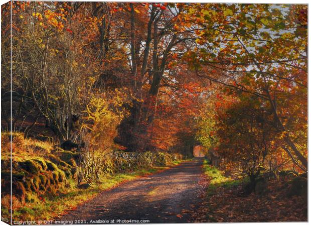 Highland Autumn Splendour October Trail Glenlivet Upper Speyside Scotland Canvas Print by OBT imaging