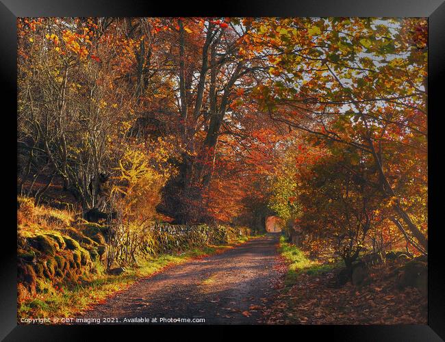 Highland Autumn Splendour October Trail Glenlivet Upper Speyside Scotland Framed Print by OBT imaging