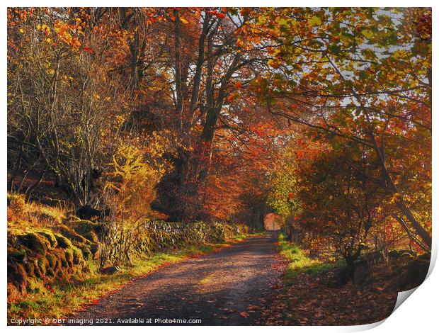 Highland Autumn Splendour October Trail Glenlivet Upper Speyside Scotland Print by OBT imaging