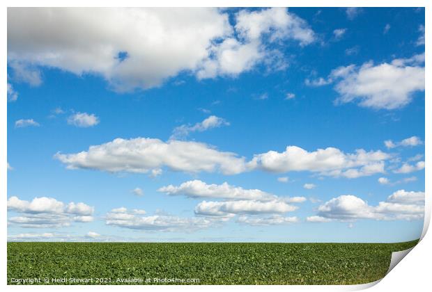 Blue and Green Print by Heidi Stewart