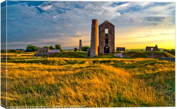 The Magpie Mine Canvas Print by Chris Drabble