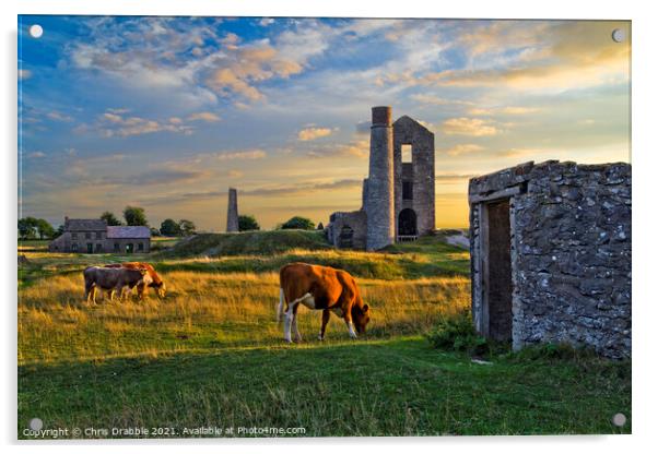 The Magpie Mine Acrylic by Chris Drabble