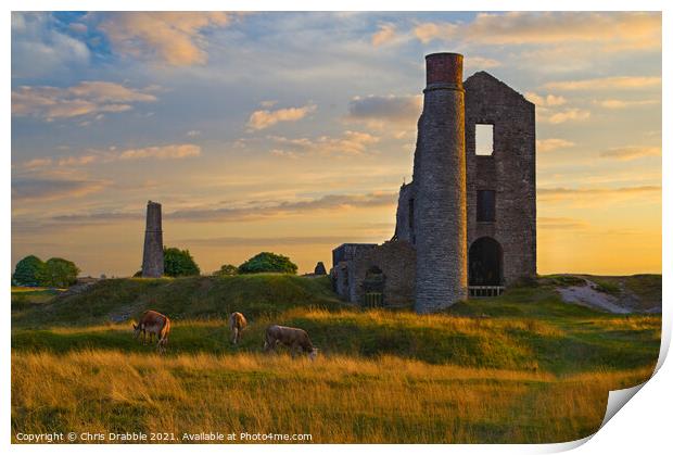 The Magpie Mine Print by Chris Drabble